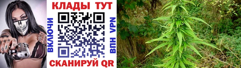 Цена Аркадак Лсд 25  A-PVP  БУТИРАТ  Меф  ГАШ  Конопля 