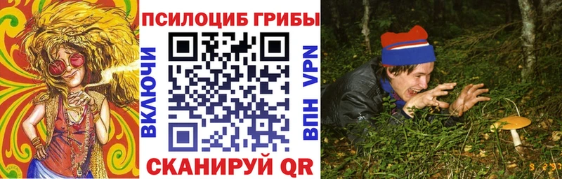 продажа наркотиков  Аркадак  Псилоцибиновые грибы мухоморы 